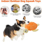Adpartner Squeaky Toys for Dogs, 2 Pack Turtle Dog Toy Plush Crinkle Dog Toys to Keep Them Busy, Interactive Squeak Stuffed Pet Chew Toys for Small to Medium Dogs Teething Training Reduce Boredom