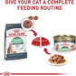 Royal Canin Feline Digestive Care Thin Slices in Gravy Wet Cat Food, 3 oz can (24-count)