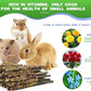 Abizoo Bunny Chew Toys for Rabbits,18PCS Natural Apple Wood Sticks with Petals Good for Chinchillas Guinea Pig Hamster Teeth Care, Bunny Small Pet Treats Teething Toys| Natural Organic Safe