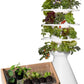 Farmstand Starter Kit with Glow Rings and 30 Seedling Credits | Family Hydroponic Growing System Kit | Vertical Garden Planter Tower | 5ft 5in Tall