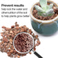 TOYPOPOR Red Lava Accent Rocks Outdoor Decorative Stones for Craft Projects, Vase Fillers, Succulents, Cactus Pots, Terrarium Plants 2.2LB