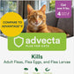 Plus Flea Prevention For Cats, Cat and Kitten Treatment & Control, Small and Large, Fast Acting Waterproof Topical Drops, 4 Month Supply