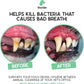 Barkle Vet Approved Dog Teeth Cleaning Toothpaste & Tooth Brushing Kit | Eliminate Plaque, Tartar & Bad Breath | Mint Dog Breath Freshener Gel | Puppy & Small Breed Safe | Free Finger Brush (60 Days)