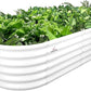 A ANLEOLIFE 6X2X1.5 ft Galvanized Raised Garden Beds Outdoor, Oval Round Metal Planter Box for Planting Vegetables Flowers Herb, Anti-Rust & Easy-Setup, Antique White