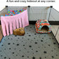 RIOUSSI Guinea Pig Hideout Hideaway Corner Fleece Toys Cage Accessories with Reversible Sides, Random/Gray-Blue+Pink, Pack of 2
