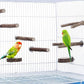 Allazone 10 PCS Natural Parrot Perch Bird Cage Accessories, Bird Platforms, Wood Stands, Grinding Fork Parakeet Platform for Small Lovebirds Budgies Cockatiels