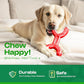 Dog Toys for Aggressive Chewers - Heavy Duty Chew Proof Durable Toy for Large Breed Dogs, Interactive Tough Nylon Bone for Boredom Relief & Mental Stimulation