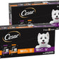 Cesar Filets in Gravy Wet Dog Food Filet Mignon Flavor and Rotisserie Chicken Flavor Variety Pack, 1.76 oz. Mini-Pouches (20 Count, Pack of 2)