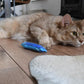 YEOWWW! Catnip Crayon, 3 Count