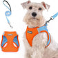 rabbitgoo Dog Harness Medium Sized and Leash Set, Step in Soft Light Puppy Vest, Breathable Mesh Pet Harness, Reflective for Safe Easy Walking, Blue & Orange XXL