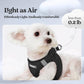 rabbitgoo Dog Harness Small Sized and Leash Set, Step in Soft Light Puppy Vest, Breathable Mesh Pet Harness, Reflective for Safe Easy Walking, Black M