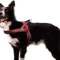 DOCO No-Pull Dog Harness Halter Reflective Easy-Control Harness for Training, Walking, and Preventing Pulling, Ideal for Large Dogs(Red)