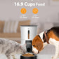 Petory Automatic Cat Feeders - 4L Timed Cat Feeders for Dry Food Built-in Battery up to 6 Meals with Desiccant Bag Support Dual Power 10S Recorder