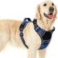 Eagloo Dog Harness for Large Dogs, Easy Wearing with 3 Buckles, Adjustable No Pull Pet Harness with 2 Rings for Walking, No Chock Reflective Soft Padded Vest with Control Handle, Blue & Black, L