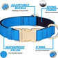 Didog Soft Padded Dog Collars for Medium Dogs, Colorful and Durable Dog Collar with Quick Release Buckle, Light and Breathable for Daily Walking, Blue, M