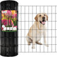 Black PVC Coated Welded Wire Fence 24 Inch x 50 Foot, 2 Inch x 4 Inch 14GA, Garden Border Fencing Roll Vinyl Coated Wire Mesh for Yard Vegetable Plant Protection Poultry Netting