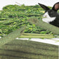 150g 3 Types of Combined Chew Toys Molar Sticks Sweet Bamboo Apple Branch Timothy Grass for Pets Chinchilla Squirrel Gerbil Hamster Squirrel Guinea Pigs