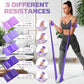 5 Pcs Resistance Bands, Professional Exercise Bands Elastic Stretch Bands for Fitness Yoga Pilates Stretching Strength Training, Workout Bands for Women and Men Home Gym