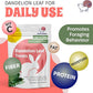 Snout and Shell Dandelion Leaf Treat for Small Pets – 1 oz (28g) | High-Fiber, Natural Foraging Snack for Rabbits, Guinea Pigs, Chinchillas, Squirrels & More