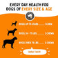 Multivitamin Dog Supplement – 10 in 1 with Omega Fish Oil & Glucosamine for Improved Joint & Skin Support, Gut, Digestion & Immune Everyday Health (120 Chewable Treats)