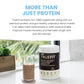 TrueFit Gut Healthy Protein Powder, Grass-Fed Whey Meal Replacement Shake with Prebiotics, Probiotics, & Organic Superfoods, Keto, Gluten Free 1.85 lbs