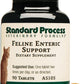 Standard Process Inc. Feline Enteric Support - 90 Tablets