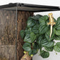 Reptile Plants for Terrarium, Amphibian Habitat Decor Artificial Hanging Plants with Suction Cup - Fake Calathea Orbifolia
