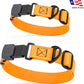 Dogline Biothane Waterproof Dog Collar with Herm Sprenger Stainless Steel Quick Release Buckle – Heavy Duty Tactical Durable Collar for Dogs – Comfortable and Safe Pet Collar, W 1" L 15-25", Tangerine