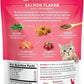Fruitables Cat Crunchy Treats For Cats – Healthy Low Calorie Packed with Protein – No Wheat, Corn or Soy – Made with Real Salmon with Cranberry – 2.5 Ounces