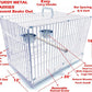 Pet Products Metal Portable Travel Vet Bird Parrot Carrier Cage Prevent Beaks Out White, 19-Inch by 12-Inch by 16-Inch