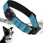 Upgraded AirTag Dog Collar, IP68 Waterproof Air Tag Dog Collar Holder, Reflective, Ultra-Durable, Comfortable Padded, Heavy Duty Dog Collars for Small Medium Large Dogs (XL (15.6"-22"), Blue)