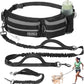 Hands-Free Waist Leash with Pouch for Two Dogs: Reflective Stitching, Dual Handle & Bungee Retractable Design – Ideal for Medium to Large Dogs (Grey) – Dog Walking Accessories