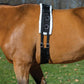 Dura-Tech Fleece Lined Training Surcingle for Horses | Essential for Lunging Work | Comfortable Fleece Lining | Durable Poly Material | Versatile D-Ring Placement | Suitable for All Training Levels