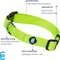 Blueberry Pet Essentials Matching Adjustable & Durable Classic Solid Color Nylon Dog Collars for Medium Dogs | Highlighter Yellow Collar Medium Girl and Boy Dogs for Pet Owner