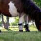 Warrior Fly Boots for Horses - Breathable Mesh Horse Boots for Fly Protection & Leg Comfort - Set of 4 (Lil Warrior, Gray)
