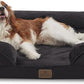 Bedfolks Orthopedic Dog Bed, Waterproof Dog Sofa Bed for Medium Dogs, Egg Foam Pet Couch Bed with Removable Washable Cover and Nonslip Bottom, Black