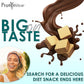 ProtiWise High Protein Wafers | Chocolate | 15g Protein Per Serving, Low Carb, Low Sugar, High Fiber Snack | Gluten-Free, Keto-Friendly for Hunger Control | 5/Box