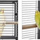 Portable Durable Heavy Duty Travel Veterinary Bird Parrot Carrier Cage Feeding Bowl Play Wooden Stand Perch with Handle Prevent Beaks Out