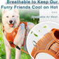 BARKBAY Dog Harness No Pull with ID Tag Pocket - Heavy Duty, Reflective, Easy Control for Large Dogs(Orange,L)