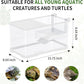 (Tank + Light + Filter + Filter Balls) Turtle Tank Kit, Turtle Tank Starter Kit,Bottom Drainage, Multi-Function Areas for Turtles, Crabs,Fishes, Amphibians,Reptiles. (15.75 x 8.64 x 8.64 Inch)