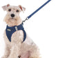 rabbitgoo Dog Harness Small Sized and Leash Set, Step in Soft Light Puppy Vest, Breathable Mesh Pet Harness, Reflective for Outdoor Safe Walking, Navy Blue XXL