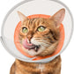Cat Cone Collar Soft: Comfortable Waterproof Mesh Recovery Cone After Surgery to Stop Licking and Scratch, Alternative to Plastic Elizabeth Head/Neck Cone for Large Cats and Small Dogs