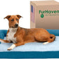 Furhaven Cooling Gel Dog Bed for Large Dogs w/ Removable Bolsters & Washable Cover, For Dogs Up to 95 lbs - Two-Tone Plush Faux Fur & Suede L Shaped Chaise - Marine Blue, Jumbo/XL