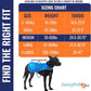 Dog Reflective Vest – Hi-Vis Fluorescent Visibility That Helps to Safeguard Your Pet On/Off Leash in Urban & Rural Areas (Blue, Medium)