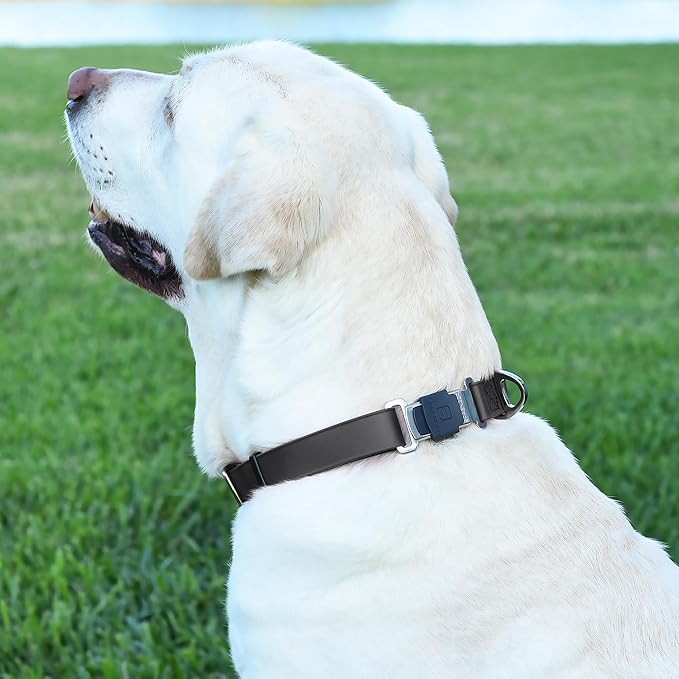Dogline Biothane Waterproof Dog Collar with Herm Sprenger Black Stainless Steel Quick Release Buckle – Heavy Duty Tactical Durable Collar for Dogs – Comfortable and Safe Pet Collar W 1" L 15-25" Black