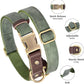 Didog Soft PU Leather Dog Collars for Medium Dogs,Classic Adjustable Dog Collars with Quick Release Metal Buckle,Easy Clean and Comfortable with Nylon Lining,Green,M Neck 13-19"