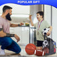Liliful 8 Pcs Sport Balls Set with Pump Mesh Bag Gifts for Kid Teen Operation Christmas Basketball Soccer Football Playground Ball for Christian Charity Donation Student Team PE Class