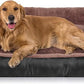 Dog Beds for Extra Large Dogs, Rectangle Washable Pet Bed with Sides, Big Dog Couch Bed with Non-Slip Bottom