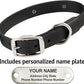 Biothane Custom Dog Collar – Waterproof, Stink-Proof Personalized Collar with Name & Phone Number – Durable, Many Sizes and Colors – Assembled in USA (Black)