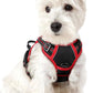 rabbitgoo Dog Harness No Pull with 2 Leash Clips, Adjustable Soft Padded, Reflective Oxford No Choke Pet Vest with Easy Control Handle for Puppy, Black & Red, XS